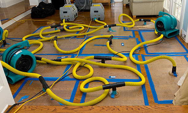 Professional Water Extraction technician working in Park City, KS